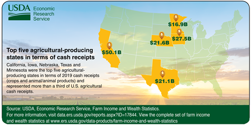 Top five ag-producing states in terms of cash receipts. California, Iowa, Nebraska, Texas and Minnesota are highlighted on the map