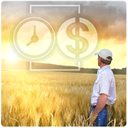 Farmer in field looking off into the distance. Infographic of time and money superimposed over sky.