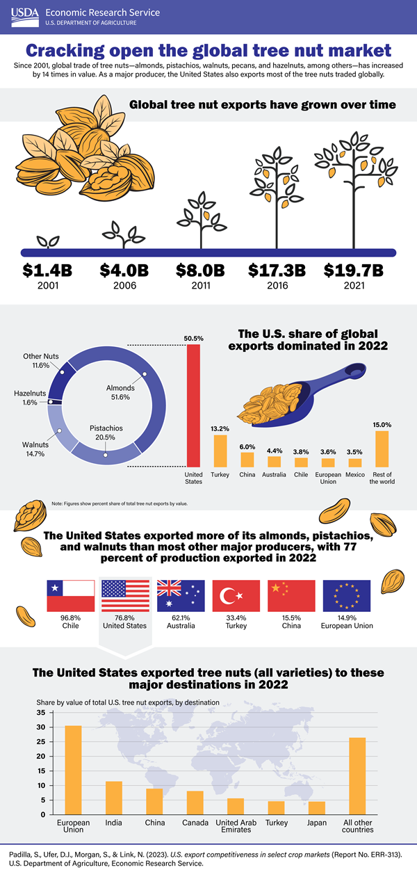 Infographic about U.S. tree nut exports.
