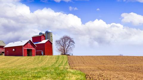 Landscape of fields with blue sky and white fluffy clouds with several large red barn and 3 silos.