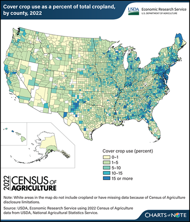 Map of the United States showing cover crop use as a percent of total cropland by county in 2022.