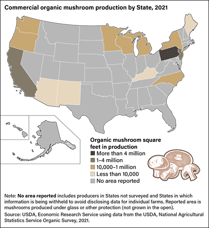U.S. map showing commercial organic mushroom production by State in 2021.