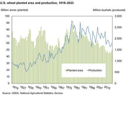 Bar chart showing planted area in million acres from 1010 to 2023 and line chart showing production in million bushels from 1919 to 2023