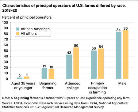 Bar chart comparing age, experience, education level, primary occupation, and gender of African-American principal farm operators with that of all others from 2018 to 2020.