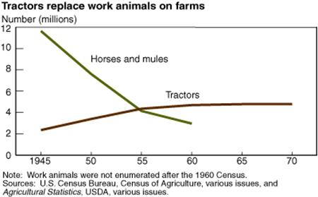 Tractors replace work animals on farms