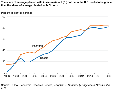 A chart shows that the share of acreage planted with insect resistant (Bt) cotton in the U.S. tends to be greater than the share planted with Bt corn.