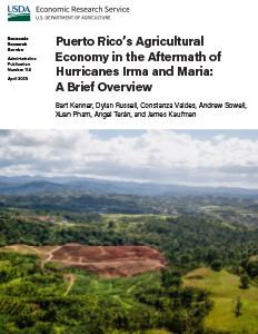 This is the cover image for the Puerto Rico’s Agricultural Economy in the Aftermath of Hurricanes Irma and Maria: A Brief Overview report.