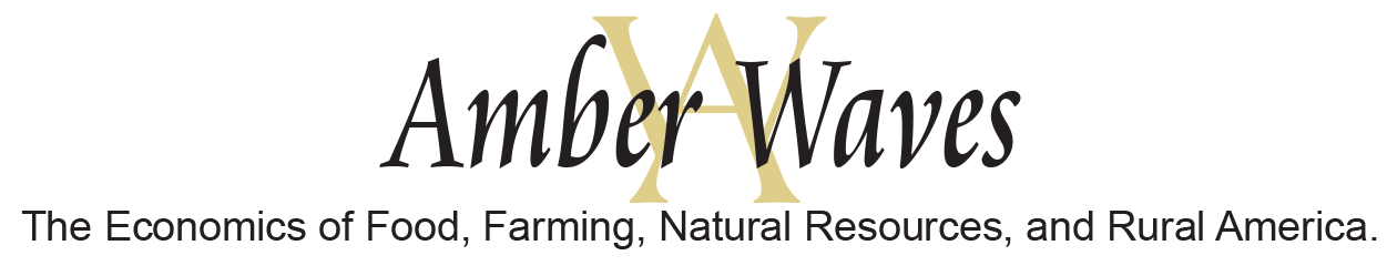 Amber Waves logo