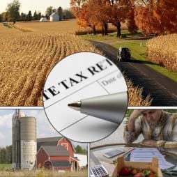 Cover image of The Effect on Family Farms of Changing Capital Gains Taxation at Death