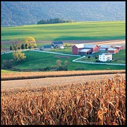 farm house and corn fields