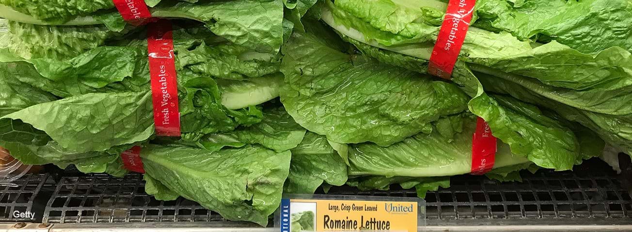 Romaine lettuce display in supermarket