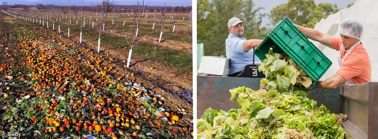 Photos of fruit and vegetables discarded on the farm field and dumped by farm workers