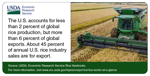 The U.S. account for less than 2 % of global rice production, but more than 6% of global exports. About 45% of annual U.S. rice industry sales are for export.
