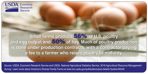 Small farms produce 56% of U.S. poultry and egg output and 50% of hay. Much of the poultry production is done under production contracts, with a contractor paying a fee to a farmer who raises poultry to maturity.