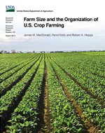 This is the cover image for the 'Farm Size and the Organization of U.S. Crop Farming' report.