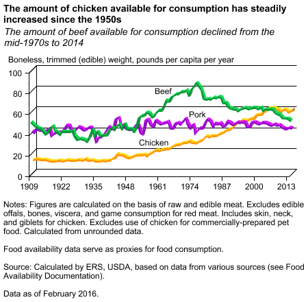 The amount of chicken available for consumption has steadily increased since the 1950s.