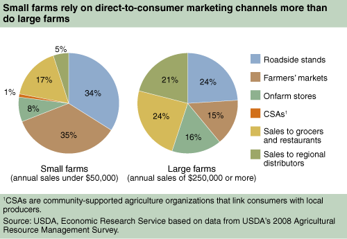 This chart shows: 'Small farms rely on direct-to-consumer marketing channels more than do large farms'.