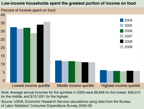 This chart shows: 'Low-income households spent the greatest portion of income on food'.