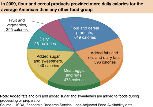 This chart shows: 'In 2009, flour and cereal products provided more daily calories for the average American than any other food group'.