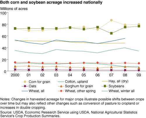This chart shows: 'Both corn and soybean acreage increased nationally'.