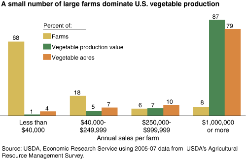This chart shows: 'A small number of large farms dominate vegetable production'.