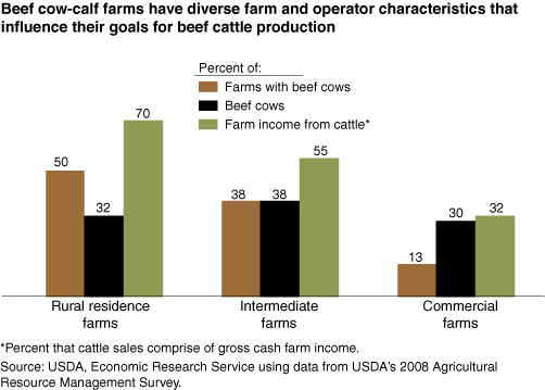 This chart shows: 'Beef cow-calf farms have diverse farm and operator characteristics that influence their goals for beef cattle production'.