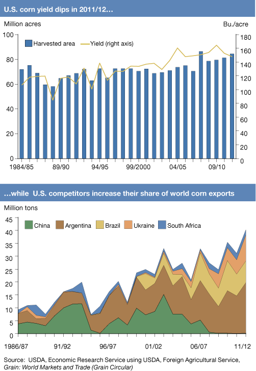This chart shows: 'U.S. corn yields dips in 2011/12...'.