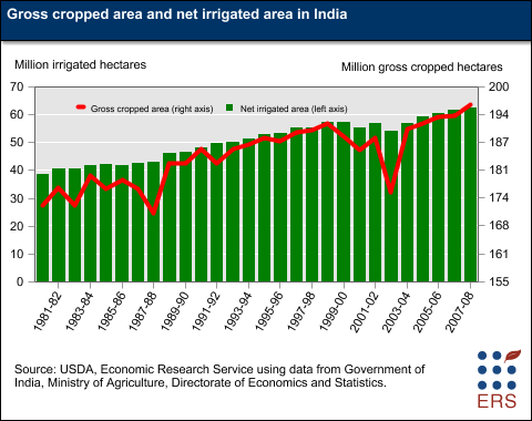 This chart shows: 'Gross cropped area and net irrigated area in India'.