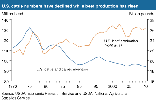 This chart shows: 'U.S. cattle numbers have declined while beef production has risen'.