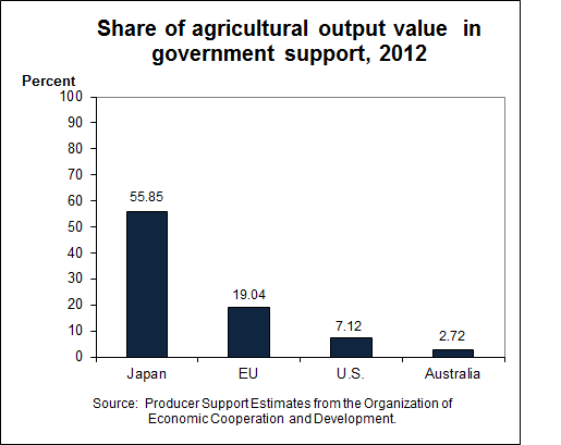 This chart shows: 'Share of agricultural output value from government support, 2011'.