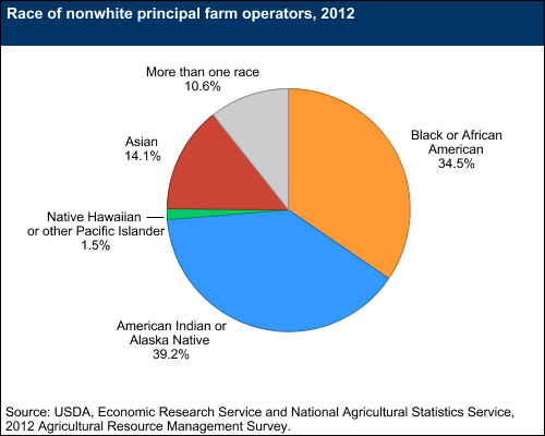 This chart shows: 'Race of nonwhite principal farm operators, 2012'.