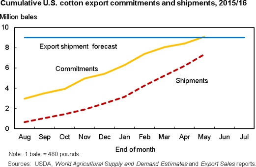 This chart shows: 'Cumulative U.S. cotton export commitments and shipments'.