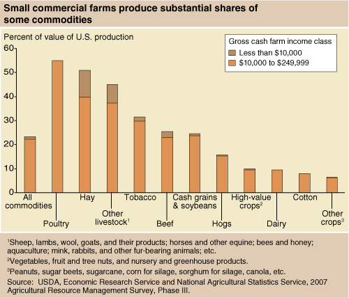 This chart shows: 'Small commercial farms produce substantial shares of some commodities'.