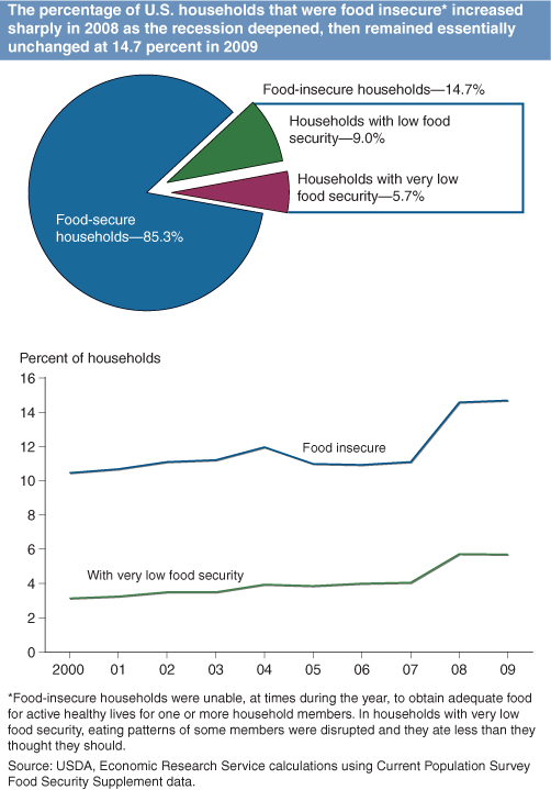 This chart shows: 'The percentage of U.S. households that were food insecure* increased sharply in 2008 as the recession deepened, then remained essentially unchanged at 14.7 percent in 2009'.