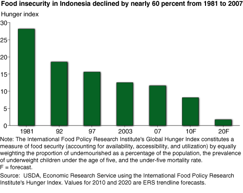 This chart shows: 'Food insecurity in Indonesia declined by nearly 60 percent from 1981 to 2007'.