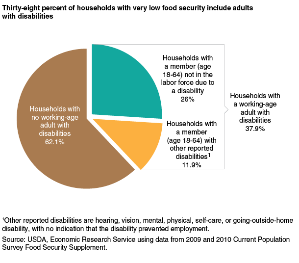 This chart shows: 'Thirty-eight percent of households with very low food security include adults with disabilities'.