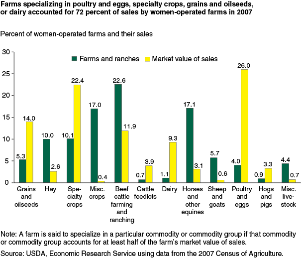 This chart shows: 'Farms specializing in poultry and eggs, specialty crops, grains and oilseeds, or dairy accounted for 72 percent of sales by women-operated farms in 2007'.