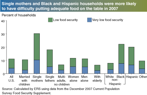 This chart shows: 'Single mothers and Black and Hispanic households were more likely to have difficulty putting adequate food on the table in 2007'.
