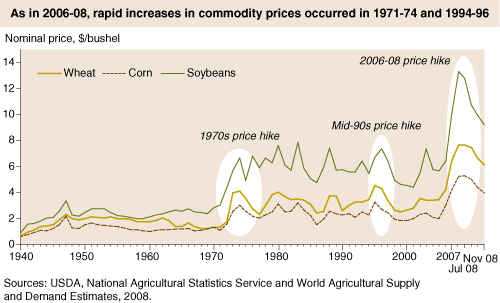 This chart shows: 'As in 2006-08, rapid increases in commodity prices occurred in 1971-74 and 1994-96'.