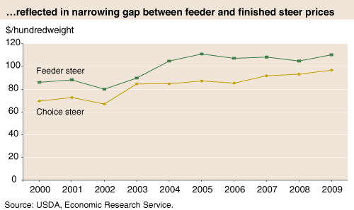 This chart shows: '...reflected in narrowing gap between feeder and finished steer prices'.