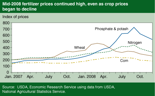 This chart shows: 'Mid-2008 fertilizer prices continued high, even as crop prices began to decline'.