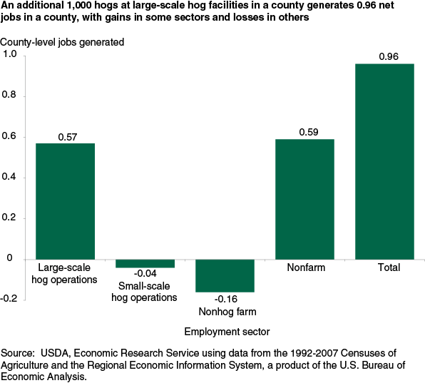 This chart shows: 'An additional 1,000 hogs at large-scale hog facilities in a county generates 0.96 net jobs in a county, with gains in some sectors and losses in others'.