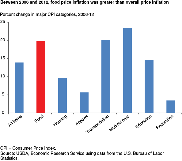 This chart shows: 'Between 2006 and 2012, food price inflation was greater than overall price inflation'.