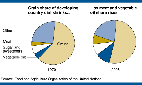 This chart shows: 'Grain share of developing country diet shrinks..., as meat and vegetable oil share rises'.
