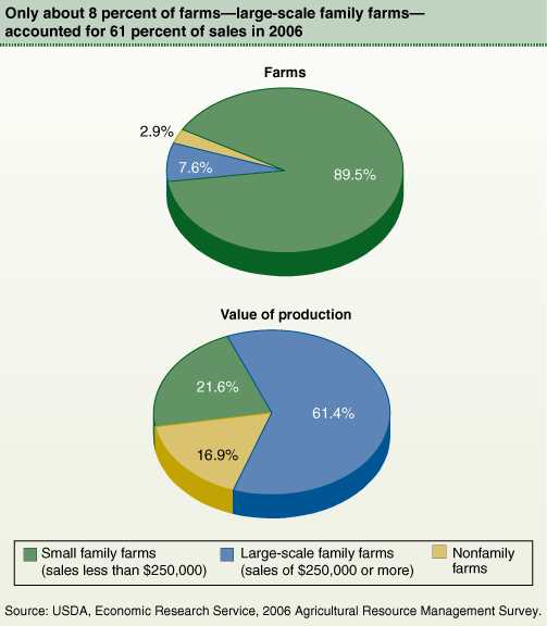 This chart shows: 'Only about 8 percent of farms-large scale family farms-accounted for 61 percent of sales in 2006'.