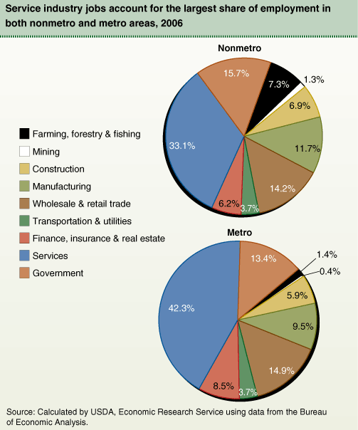 This chart shows: 'Service industry jobs account for the largest share of employment in both nonmetro and metro areas, 2006'.