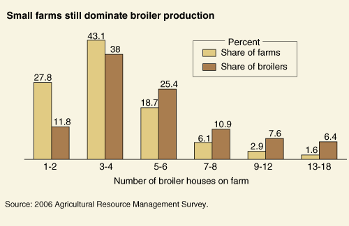 This chart shows: 'Small farms still dominate broiler production'.