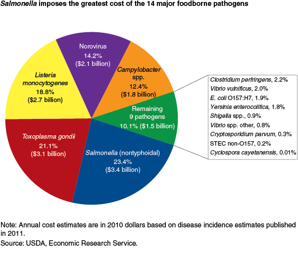 This chart shows: 'Salmonella imposes the greatest cost of the 14 major foodborne pathogens'.