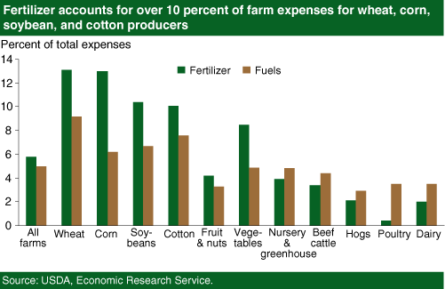 This chart shows: 'Fertilizer accounts for over 100 percent of farm expenses for wheat, corn, soybean, and cotton producers'.