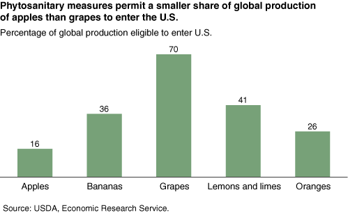 This chart shows: 'Phytosanitary measures permit a smaller share of global production of apples than grapes to enter the U.S.'.